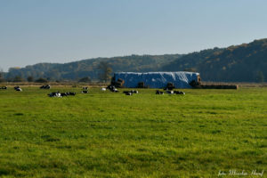 Nizina koło Ujścia z widocznymi zboczami doliny Noteci