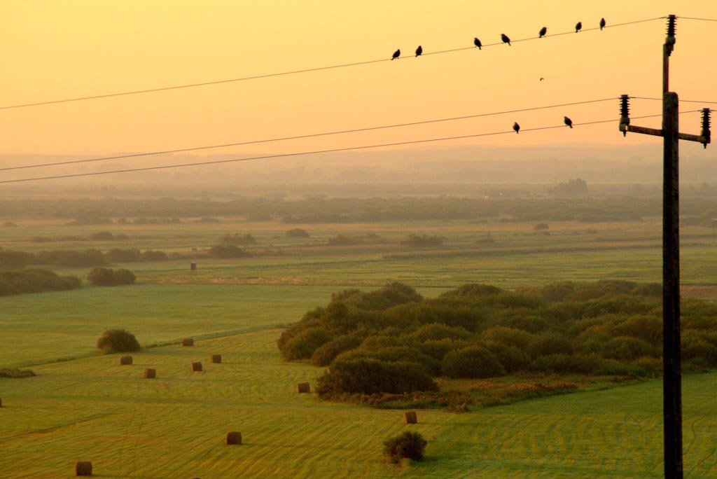 Łąki w dolinie Noteci